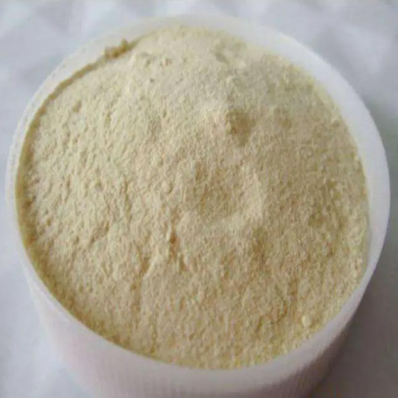 Xanthan Gum